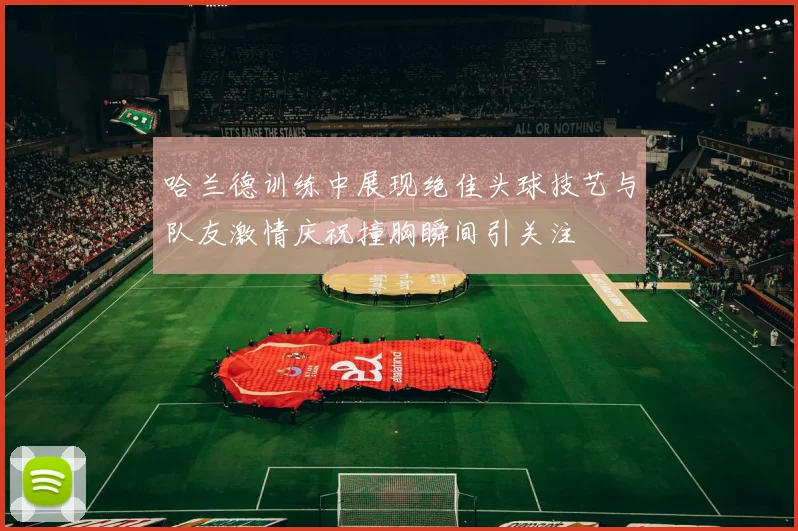 哈兰德训练中展现绝佳头球技艺与队友激情庆祝撞胸瞬间引关注